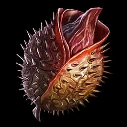 Seed