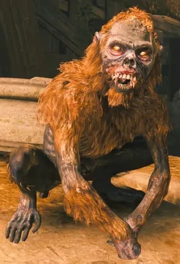 Jungle Monkey image